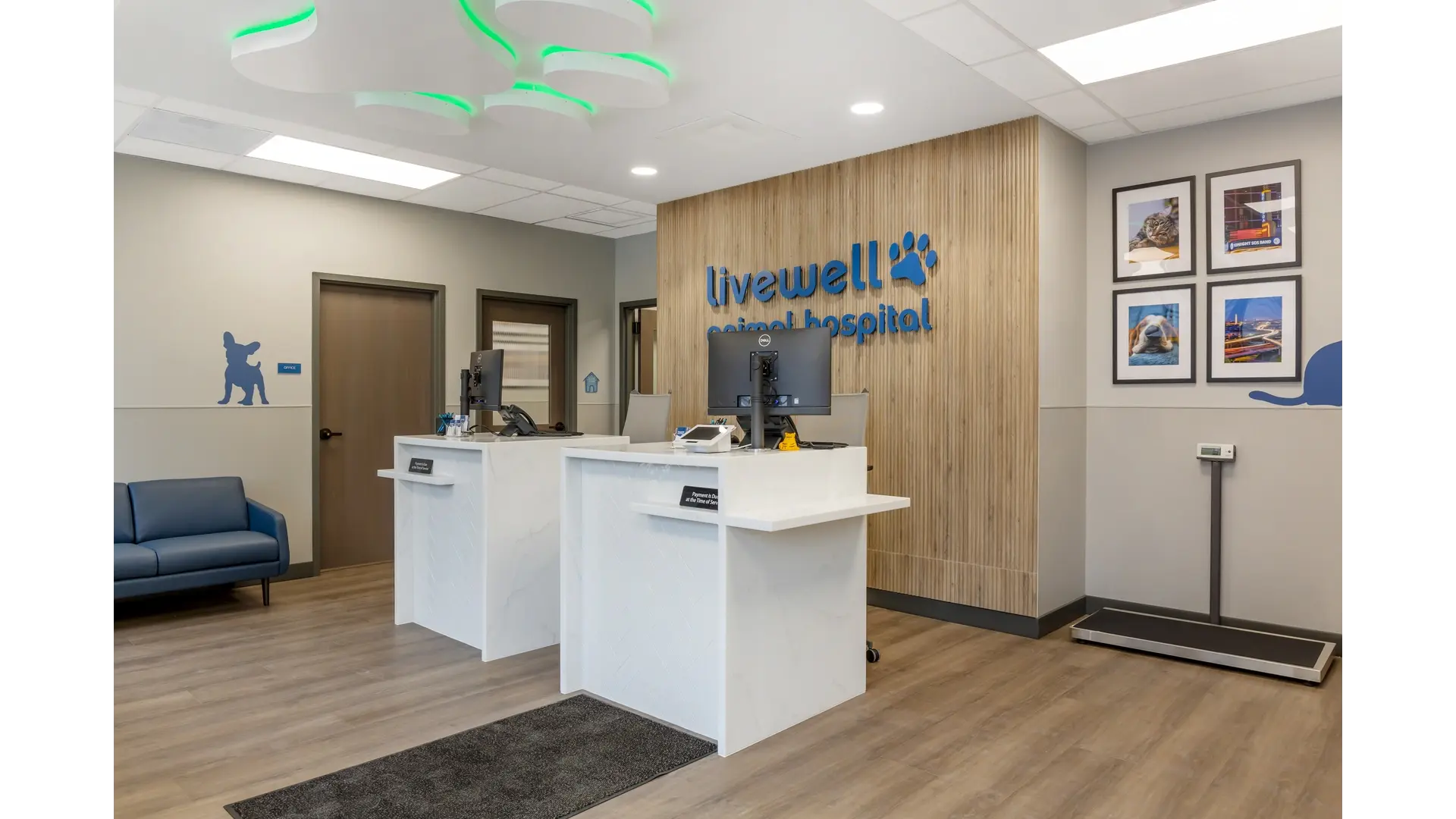 Livewell Animal Hospital: Bethesda interior