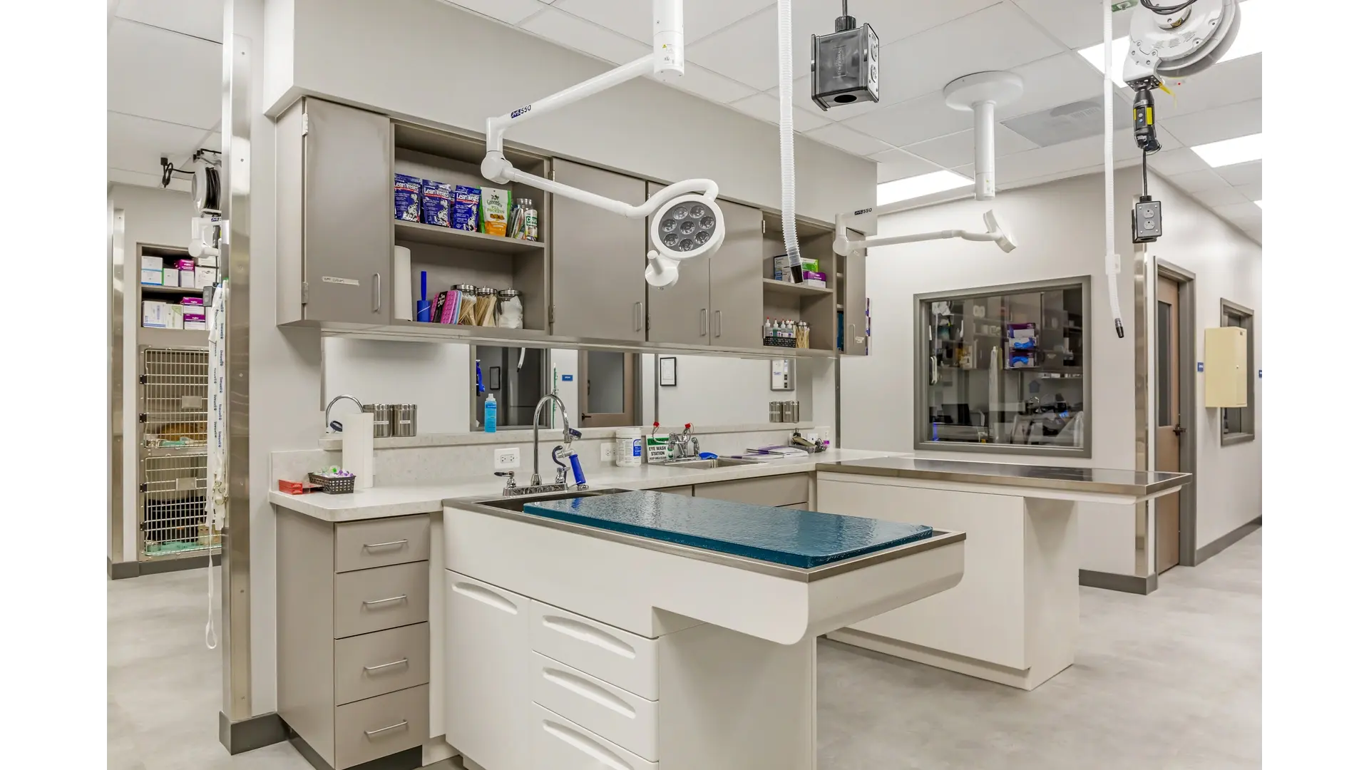 Livewell Animal Hospital: Bethesda treatment