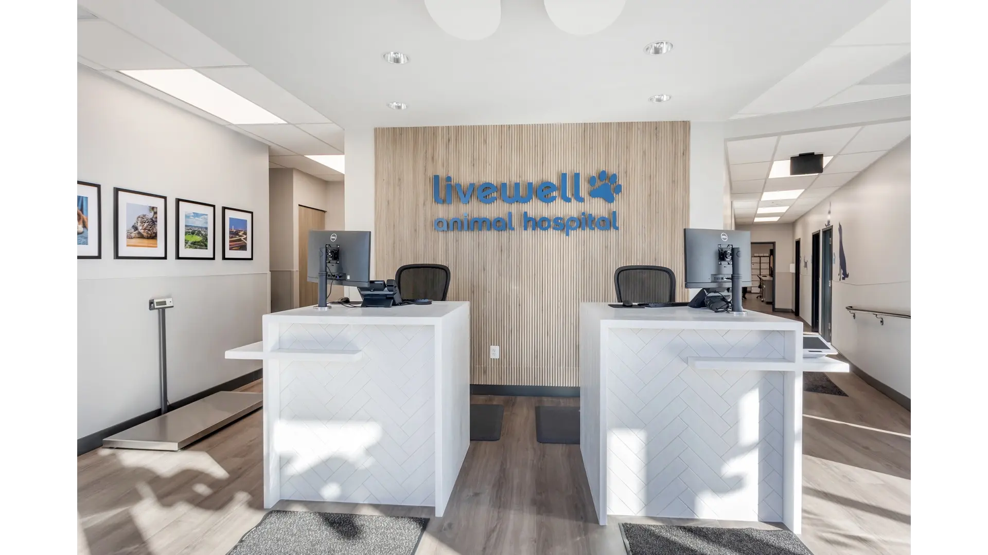 Livewell Animal Hospital: Shaw interior