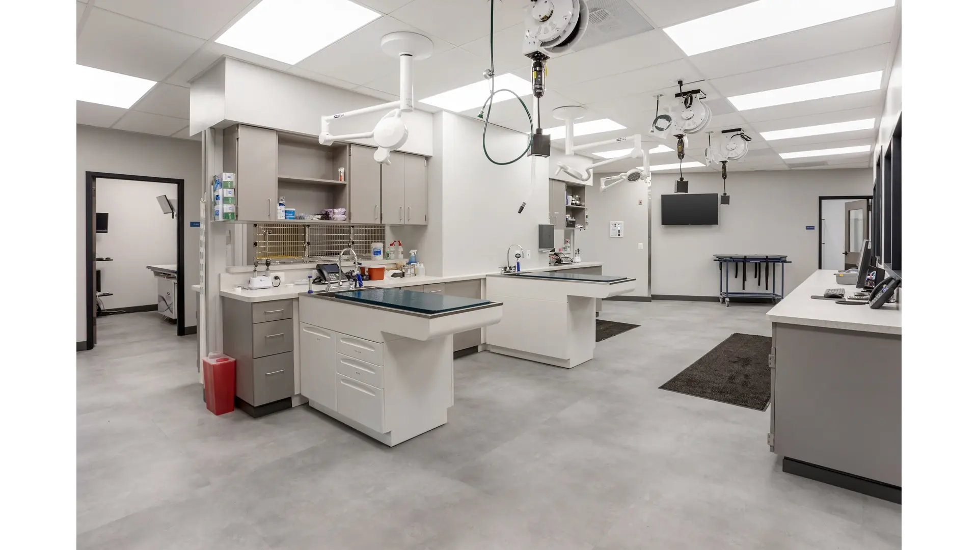 Livewell Animal Hospital: Shaw detail