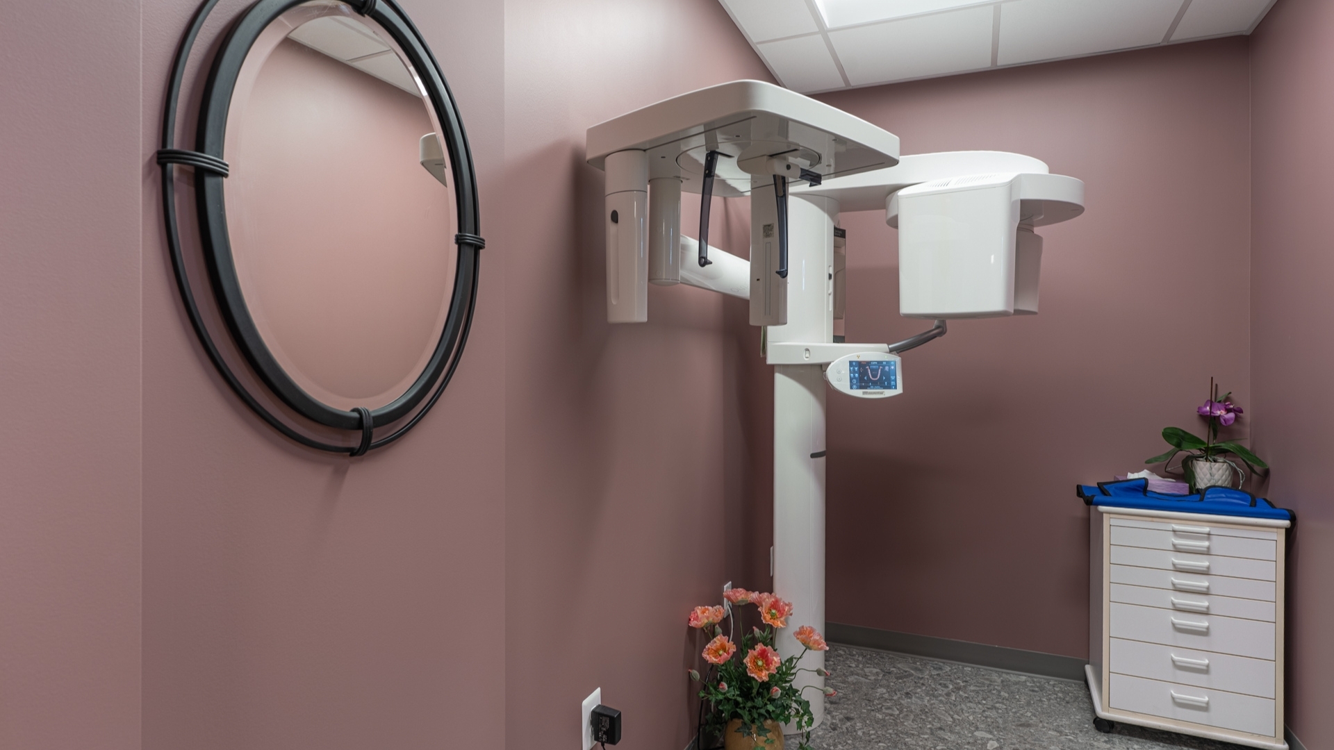 Beautiful Smiles: x-ray